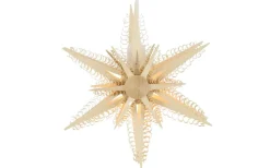 Martina Rudolph Fensterdeko Weihnachten*Holzstern, Durchmesser 24 cm, elektrisch beleuchtet von