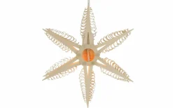 Martina Rudolph Fensterdeko Weihnachten*Holzstern, elektrisch beleuchtet, Durchmesser 24 cm von