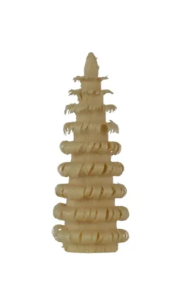 SEIFFENcom by Nestler GmbH Spanbaum*Ringelbäumchen - Spanbaum, 4 cm, von SEIFFEN.COM